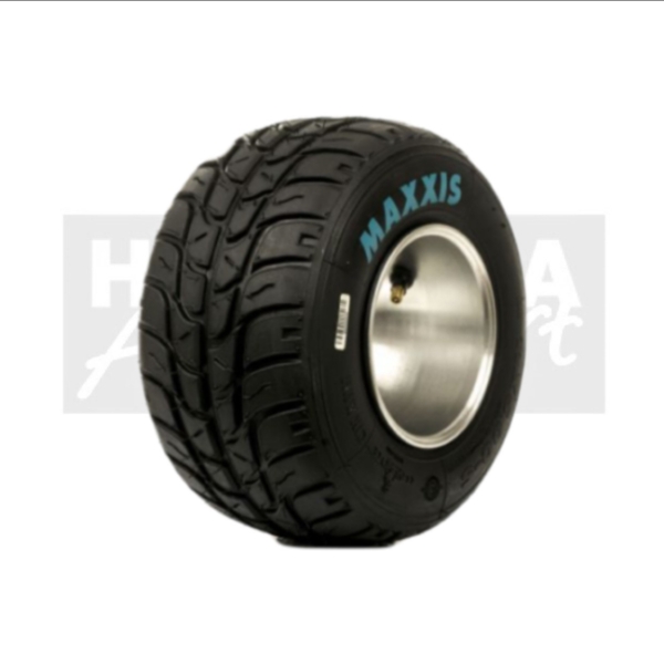 maxxis mini wet